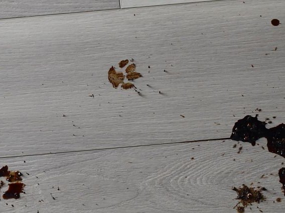 Floorte Vinyl Flooring from Ace Home & Hardware in Marshall